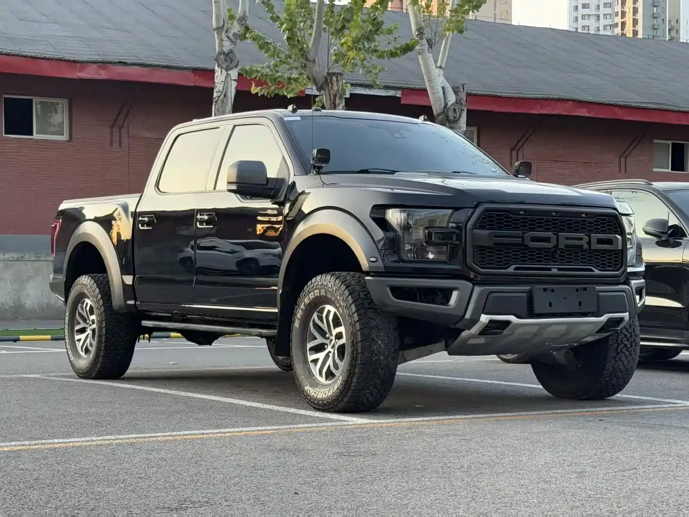 Ford F-150 Raptor 2017 2017 3.5T Raptor Performance Edition