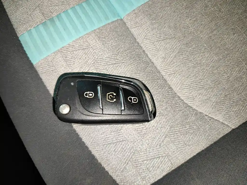 JMCG New Energy Little Kirin 2025 2024 201km Comfort Model