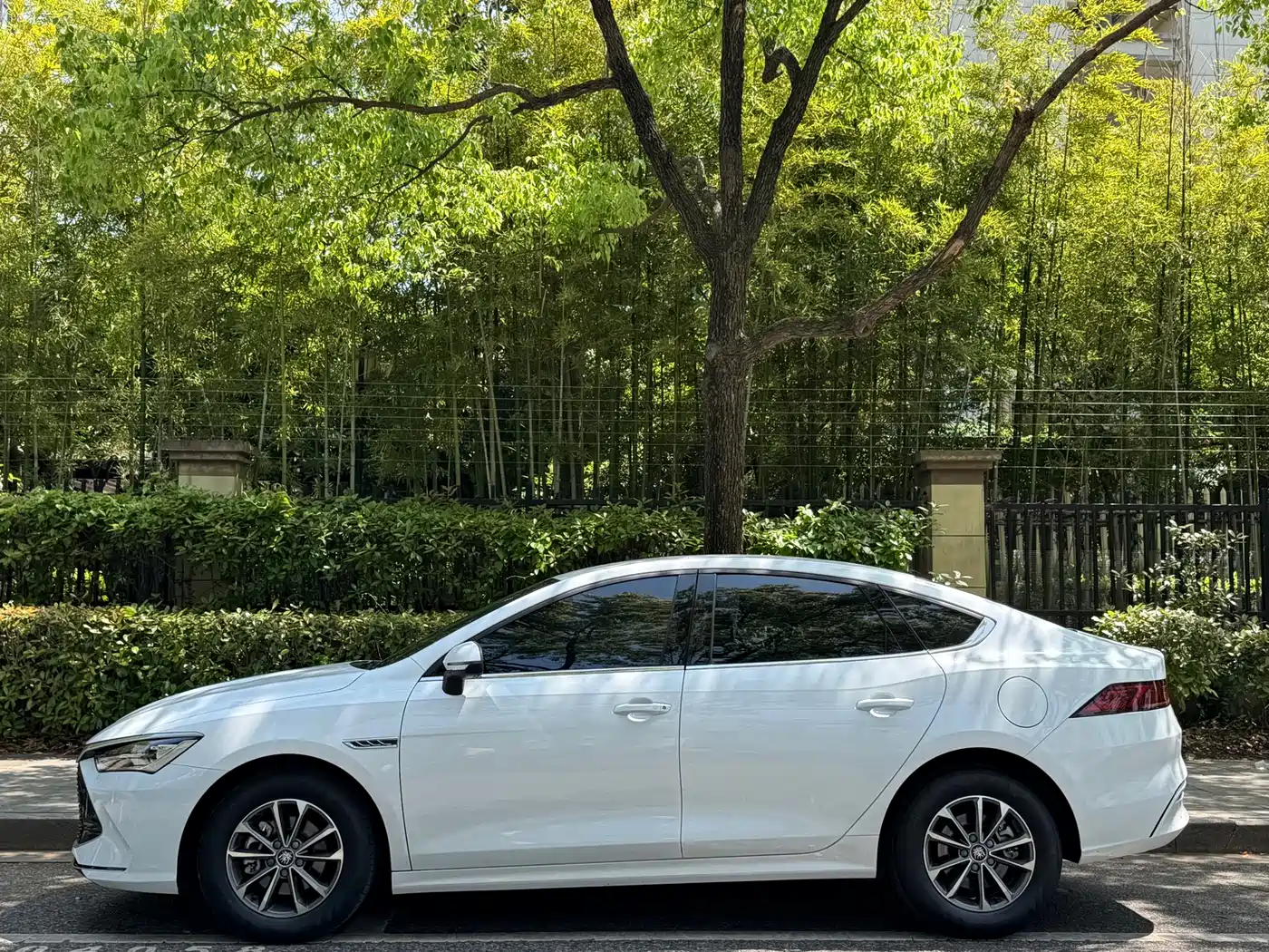 BYD Qin PLUS 2024 Glory Edition DM-i 55KM Leading фото 3