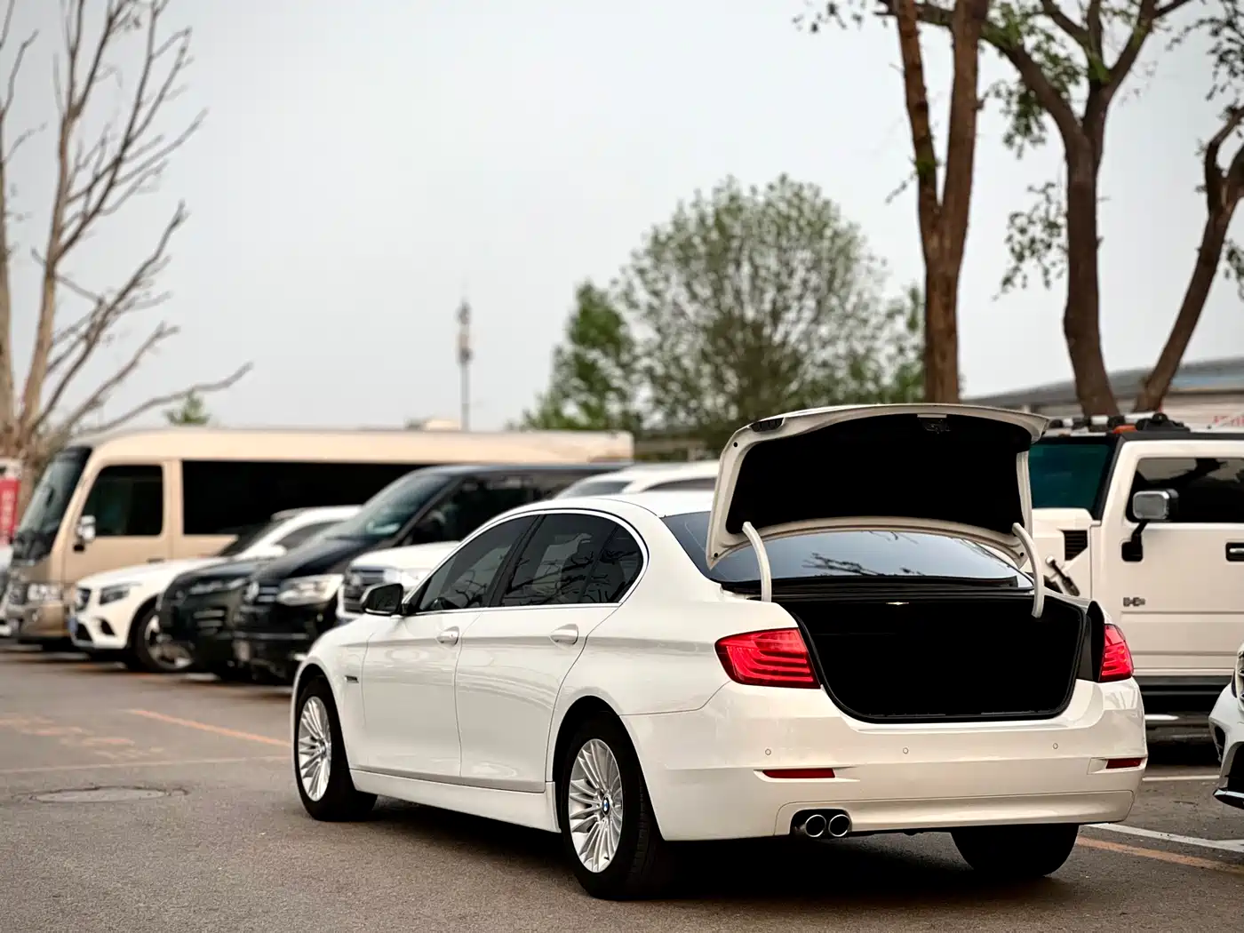 BMW 5 Series 2014 525Li Leading фото 5