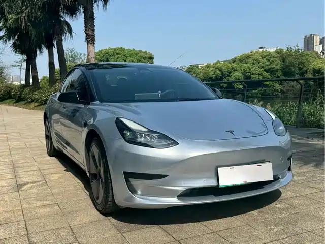 TESLA MODEL 3 2021