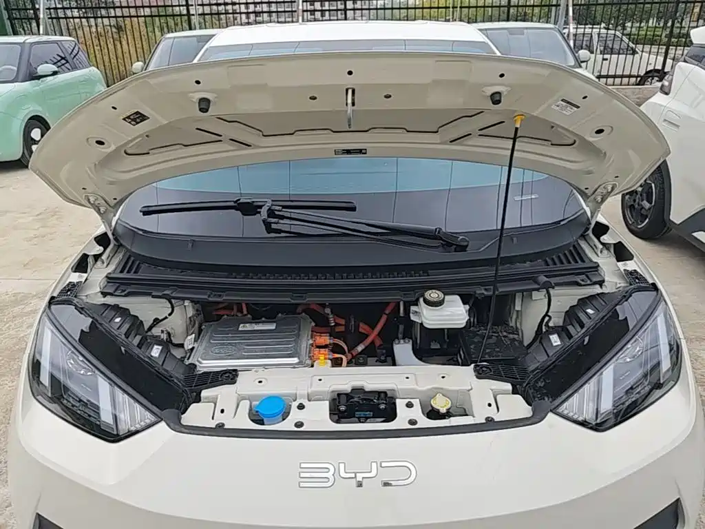 Photo 20 - BYD Seagull