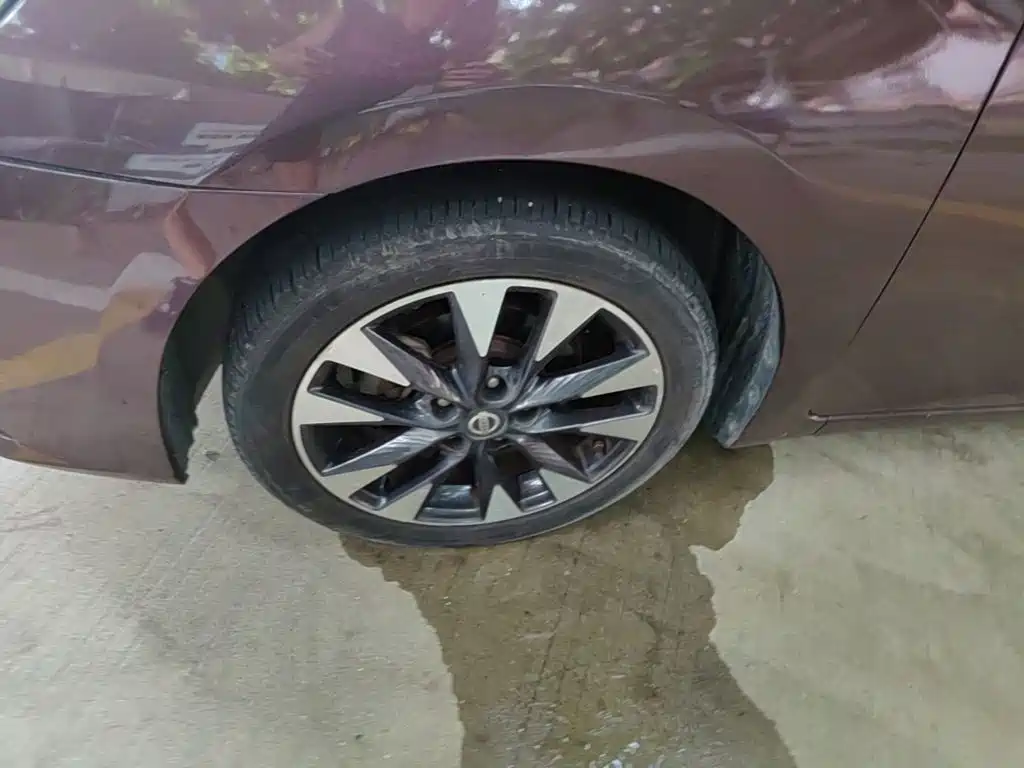 Фото 23 - Nissan Sylphy
