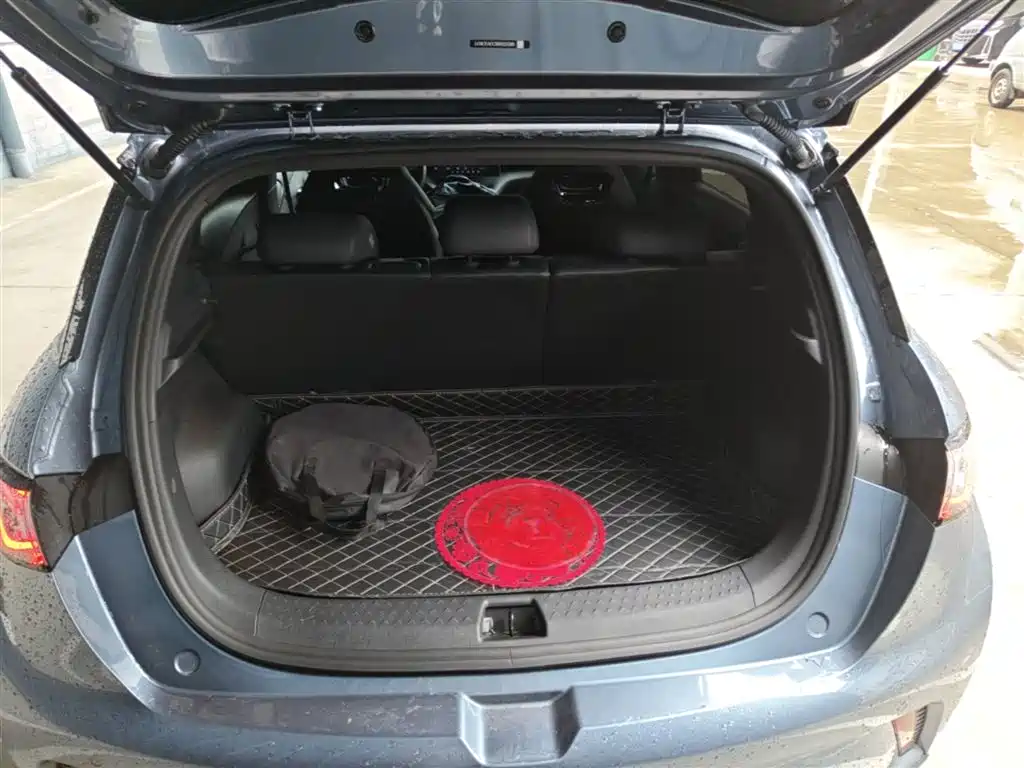 BYD Dolphin 2024 Glory Edition 420km Fashion Edition фото 19
