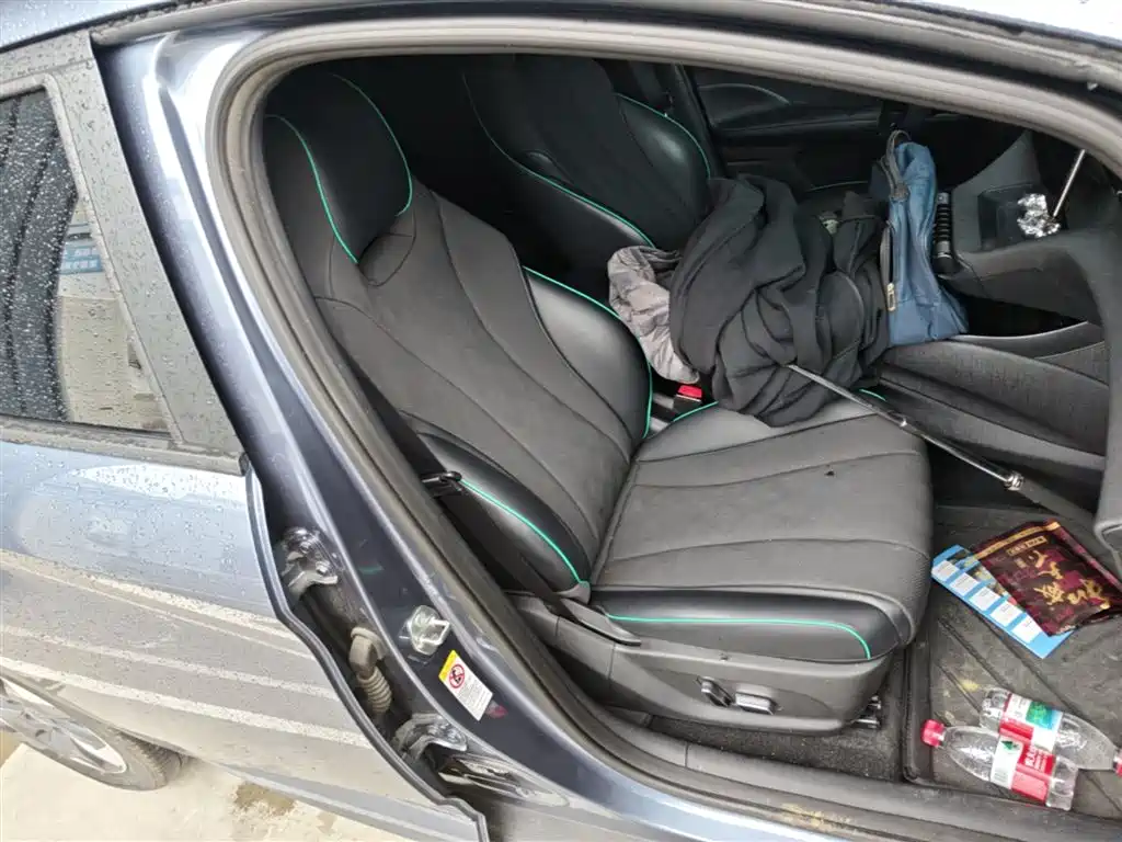 BYD Dolphin 2024 Glory Edition 420km Fashion Edition фото 25