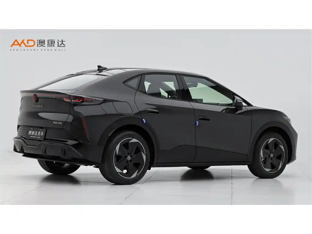 VOLKSWAGEN WITH THE CROWD 06