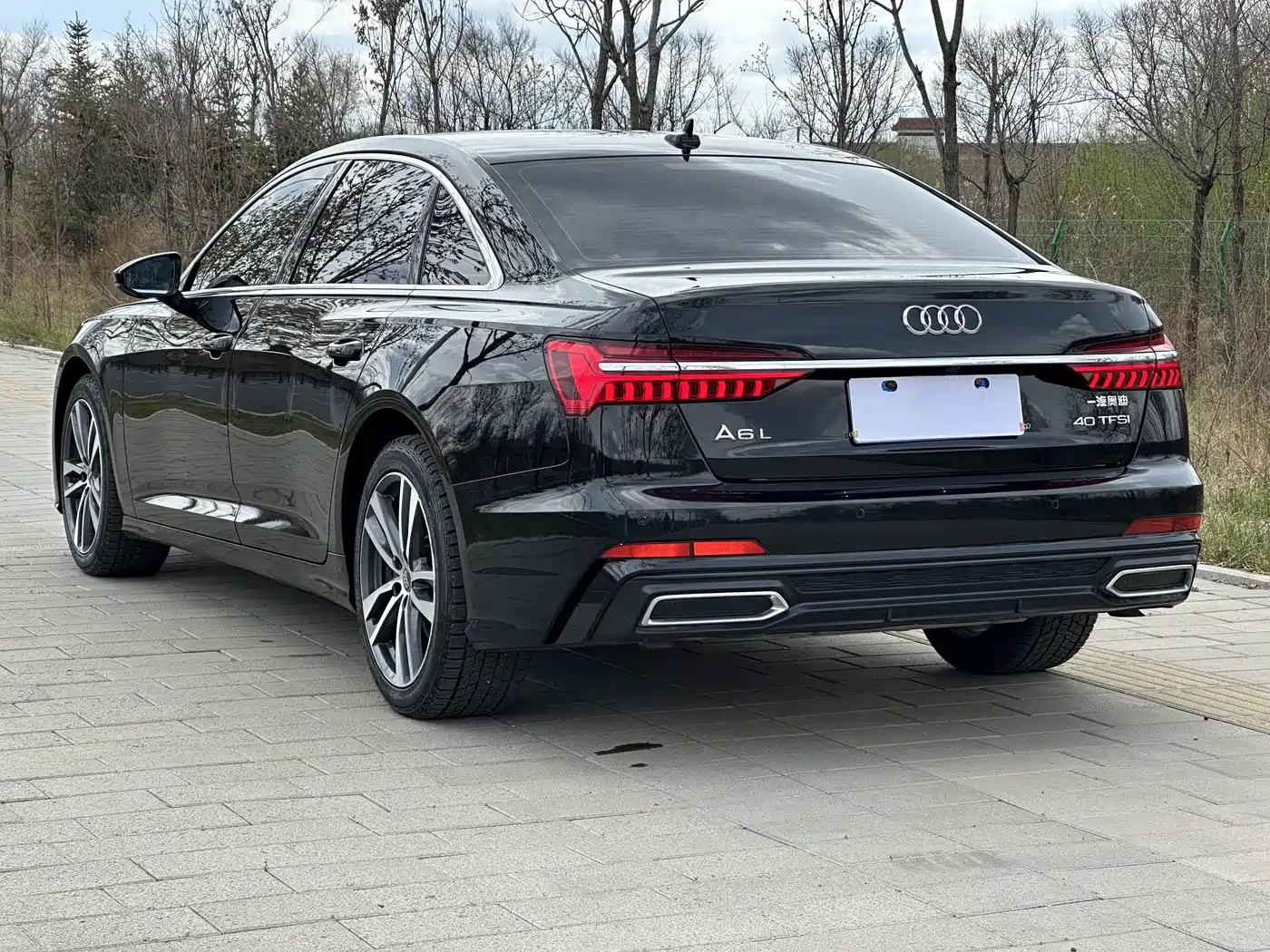 Audi A6L 2019 40 TFSI Luxury Dynamic фото 6
