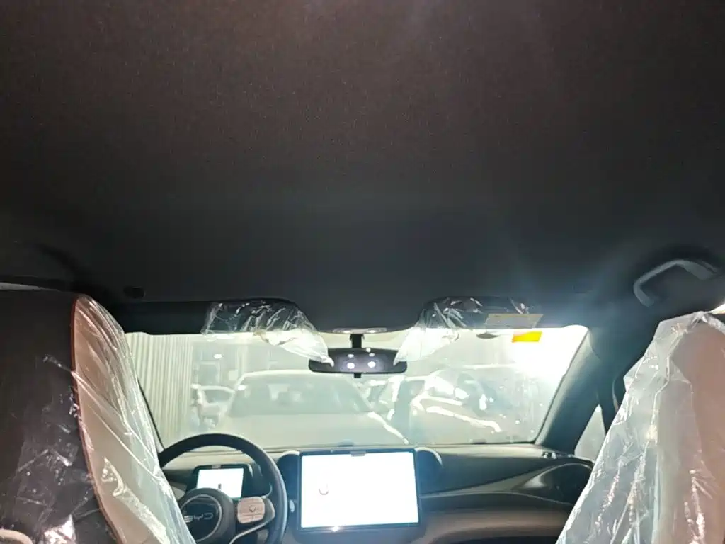 BYD Dolphin 2026 2025 420km Freedom Edition