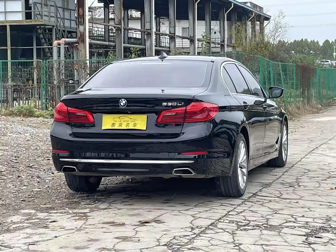 BMW 5 Series 2020 530Li Leading Luxury Package фото 9