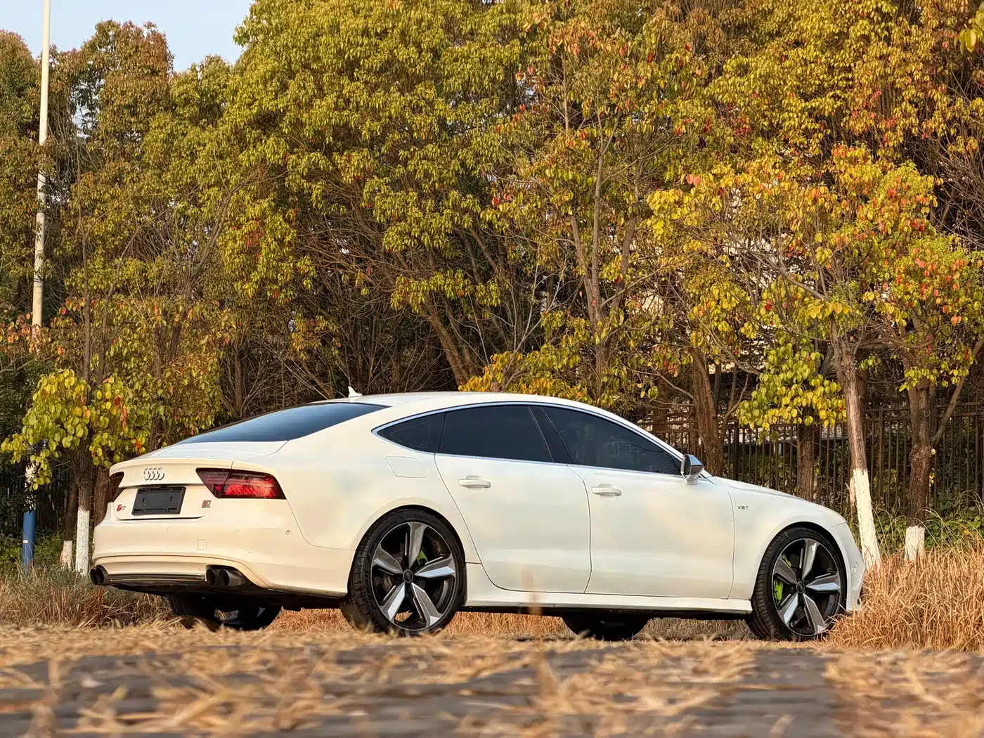 Audi S7 2013 4.0 TFSI quattro фото 12