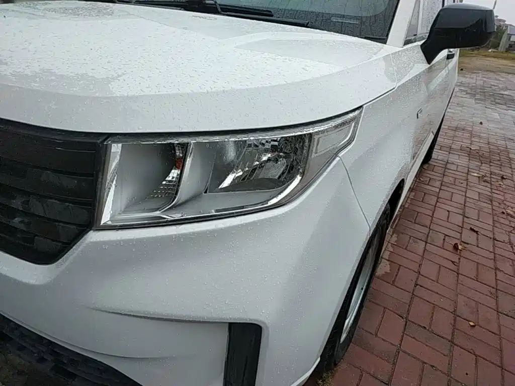 صورة 24 - Wuling Motors Wuling Hongguang PLUS