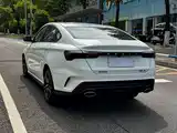 Photo 23 - Geely Binrui
