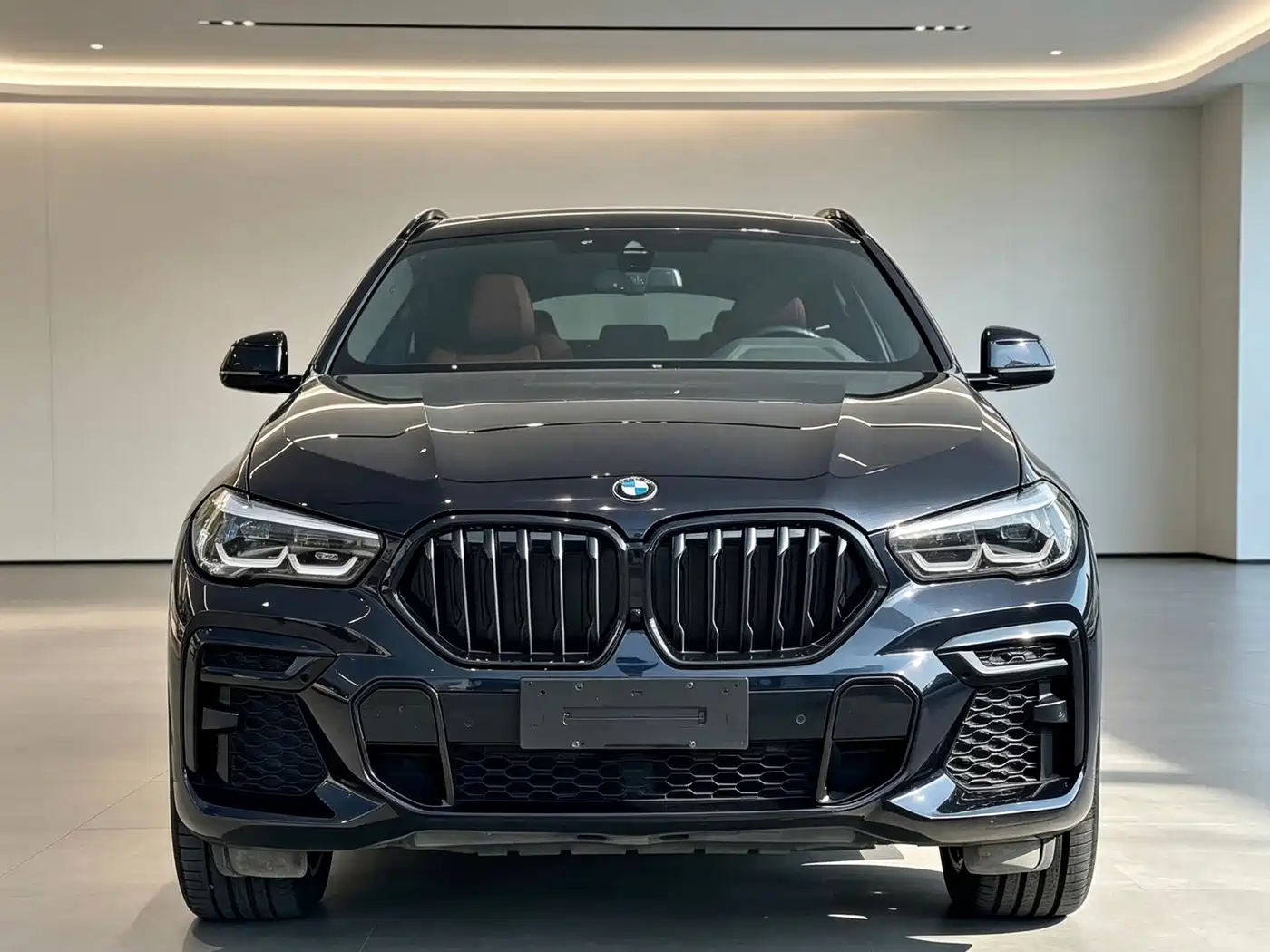 BMW X6 2023 2023 xDrive30i M Sport Package