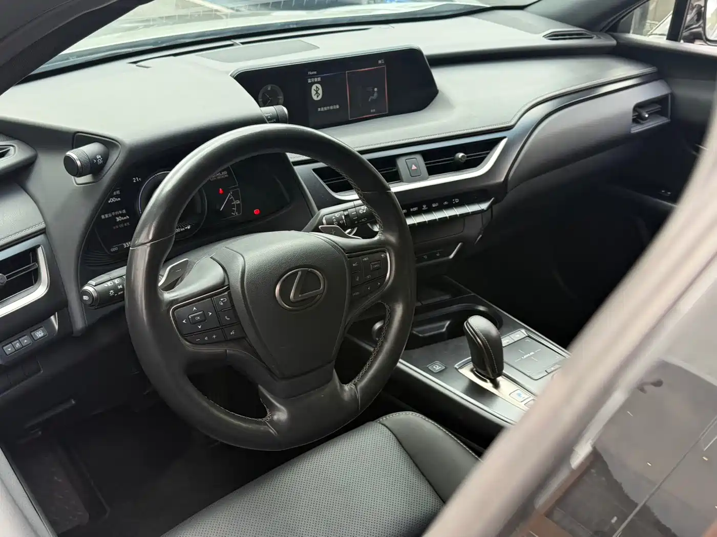 Lexus UX Electric 2022 2020 300e Pure Yue Edition