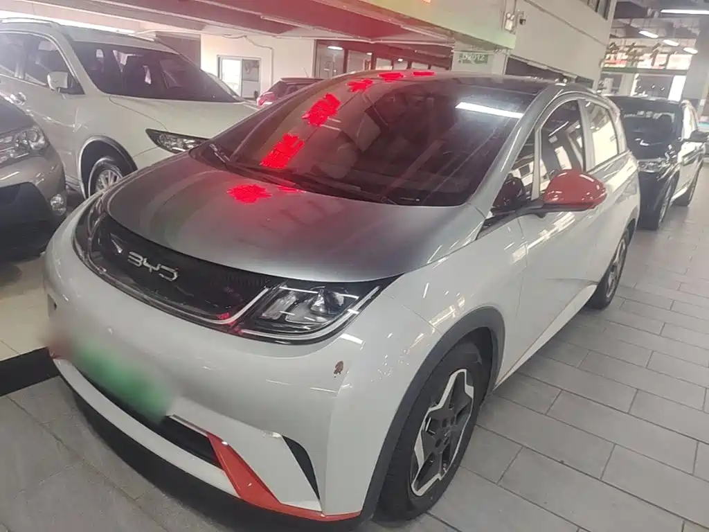 BYD Dolphin 2021 — пригон из Китая