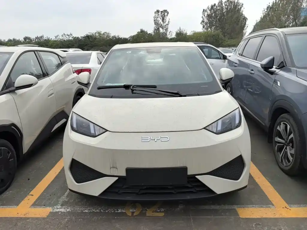 BYD Seagull 2026 2025 Smart Drive Edition 305km Vitality Version