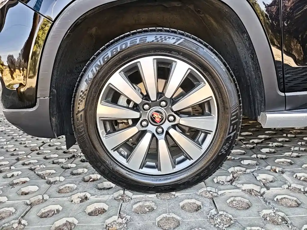 Фото 23 - Roewe RX8