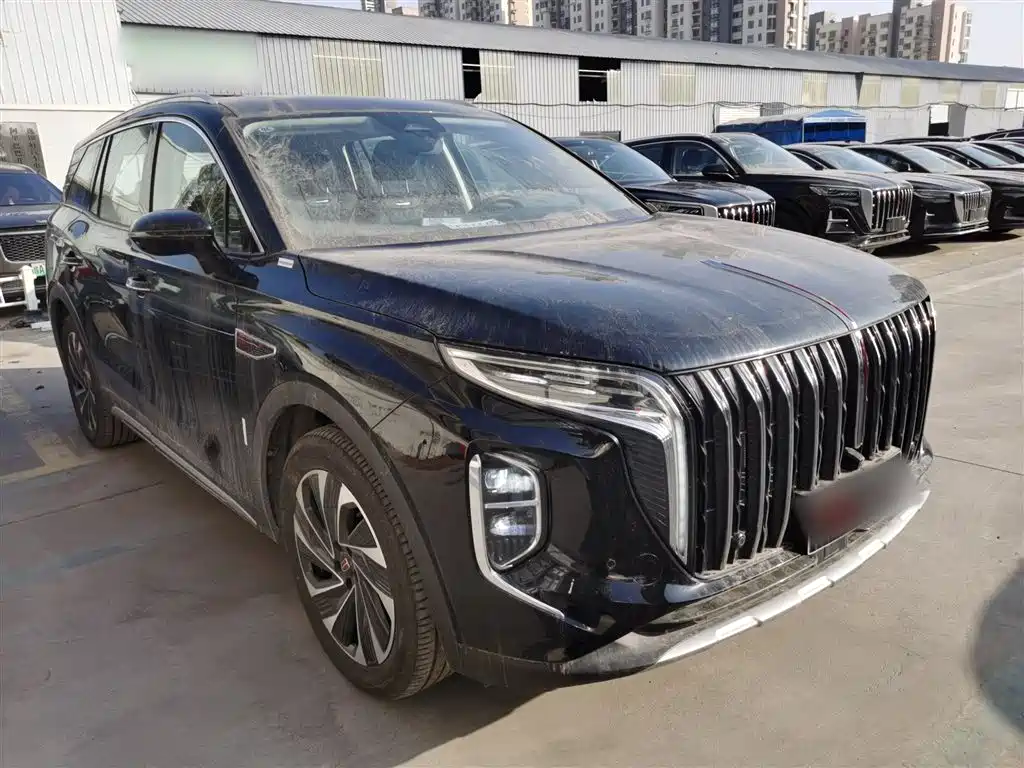 Hongqi HS7 PHEV 2024 2.0T PHEV 4WD Flagship Edition 6-seater фото 20