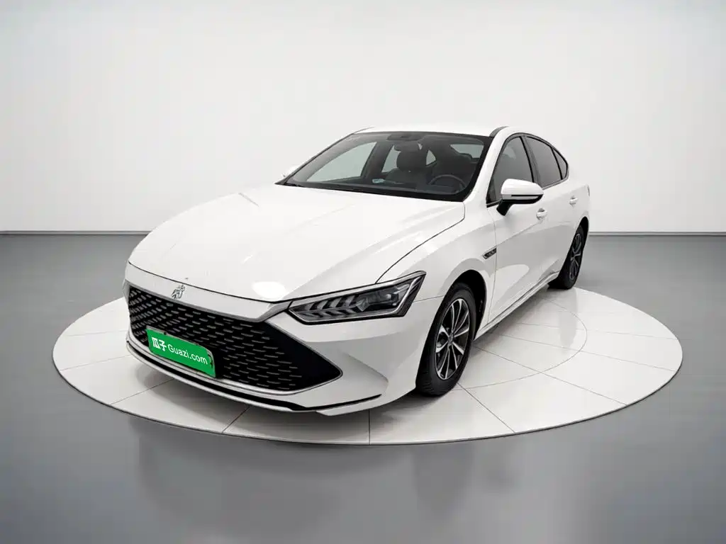 Фото 1 - BYD Qin PLUS