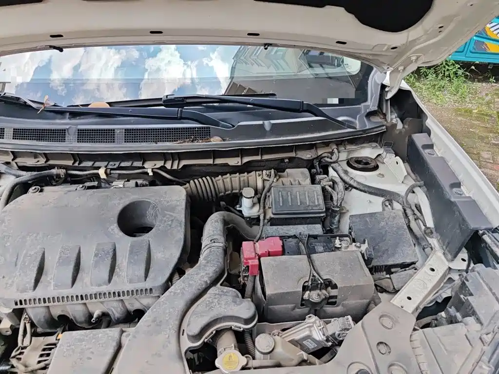 Venucia T60 2020 2020 Model 1.6L CVT Zhixing Edition China VI