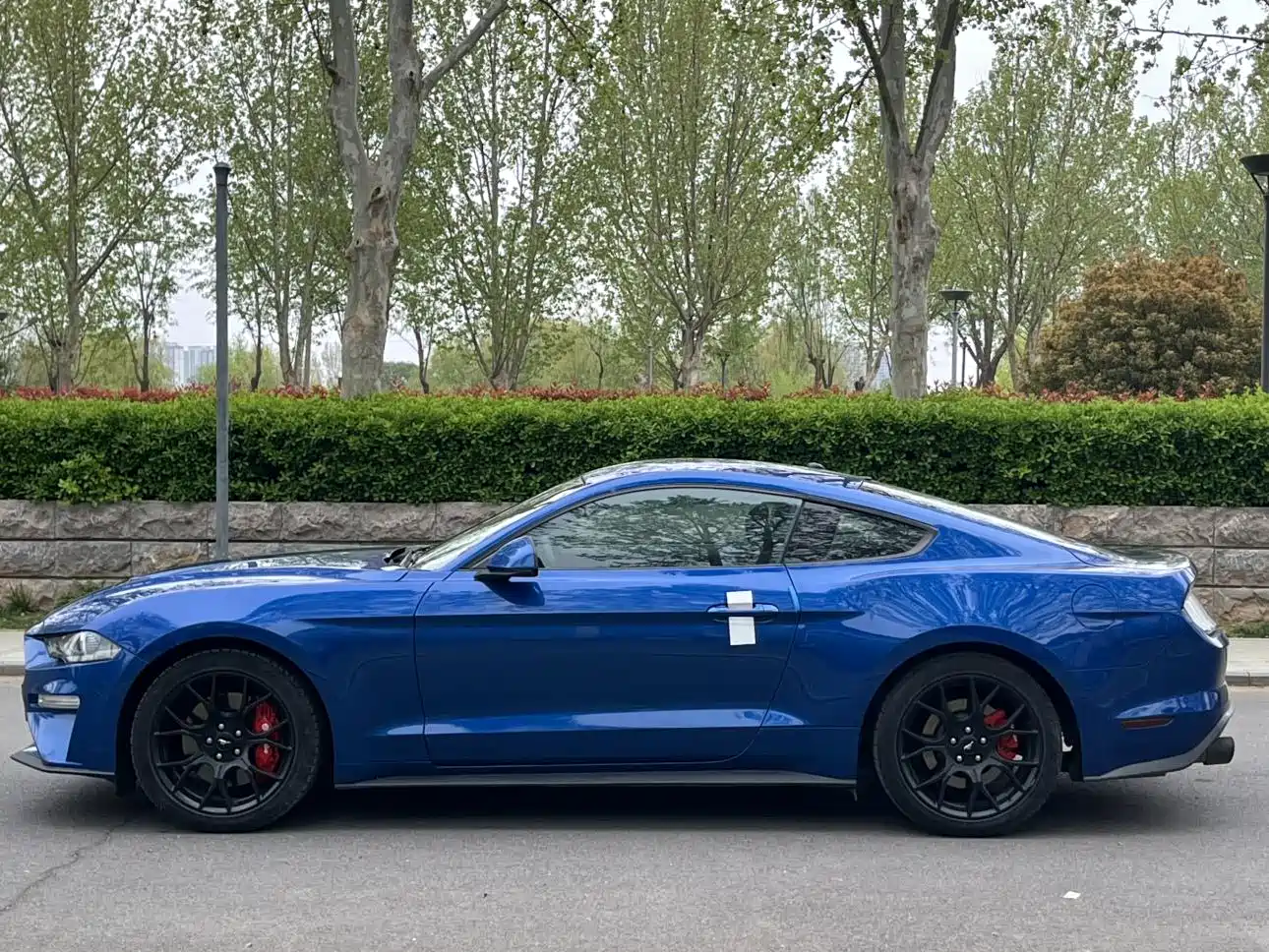 FORD MUSTANG
