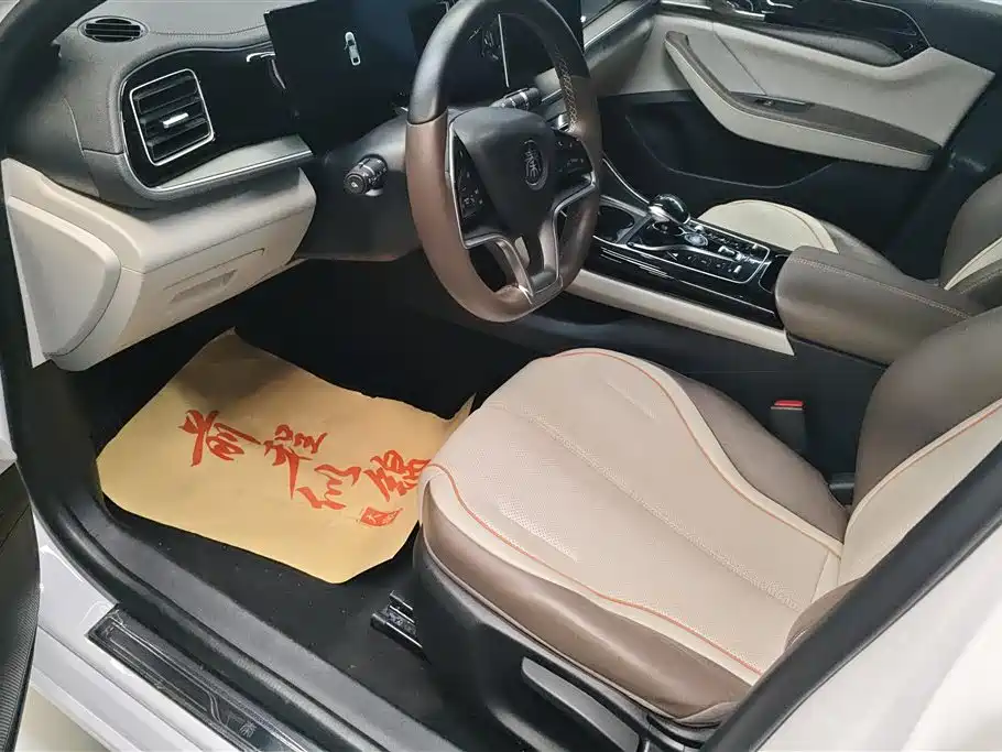 BYD Qin PLUS 2024 Glory Edition EV 510KM Leading фото 9