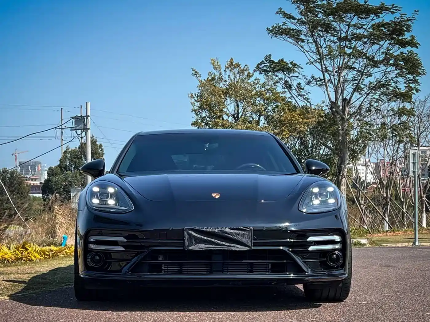 Porsche Panamera 2017 Panamera 3.0T фото 2