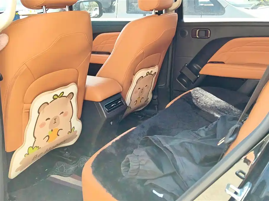 Haval Meng Long NEV 2024 Hi4 145 Pro фото 11