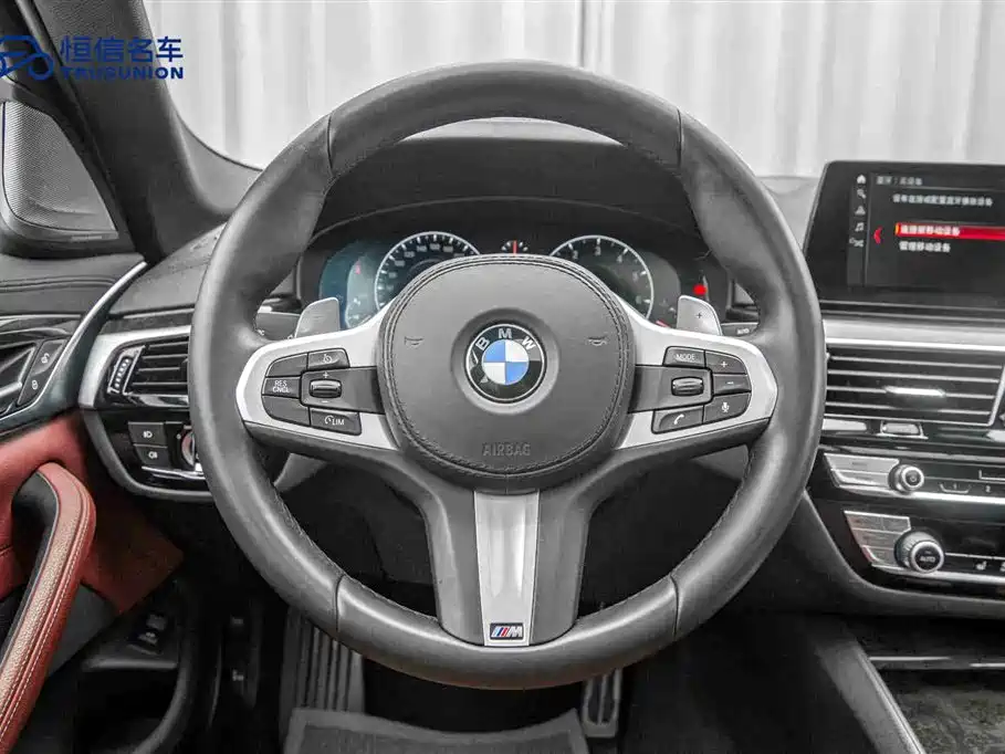 BMW 5 Series 2019 530Li Leading M Sport Package фото 17