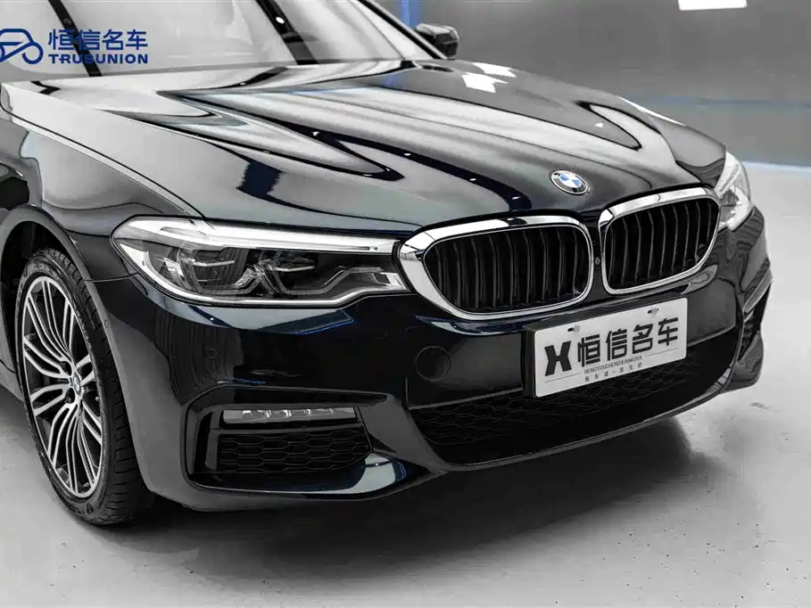 BMW 5 Series (Import) 2019 530i M Sport Package фото 9