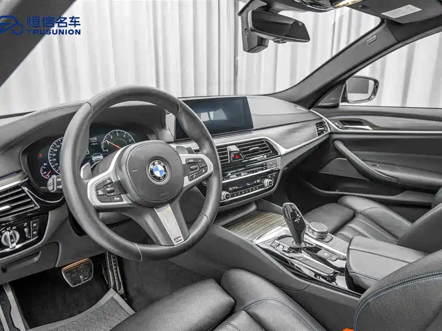 BMW 5 Series (Import) 2019 530i M Sport Package фото 12