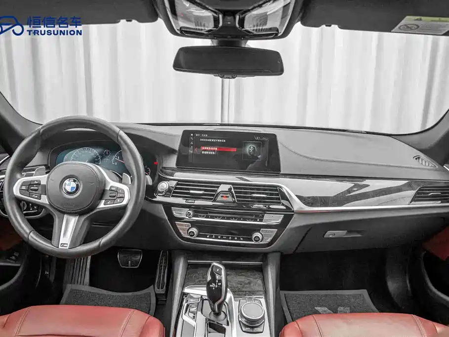 BMW 5 Series 2019 530Li Leading M Sport Package фото 13