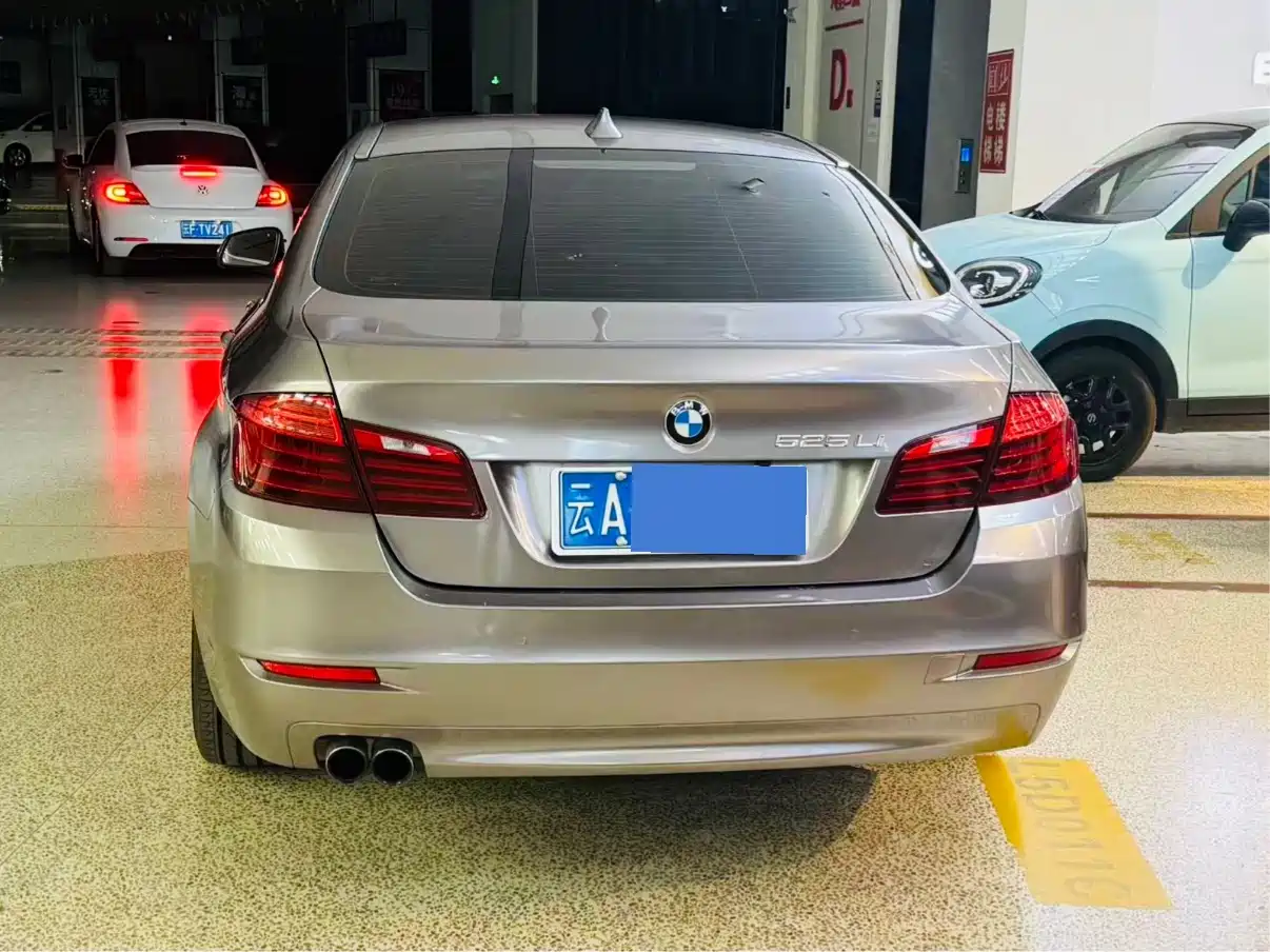 BMW 5 Series 2014 525Li Luxury Design Package фото 4