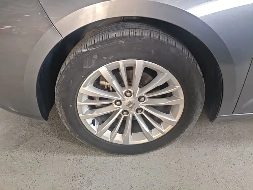 Baojun Valli 2022 2021 1.5T Dali Sky CVT Premium