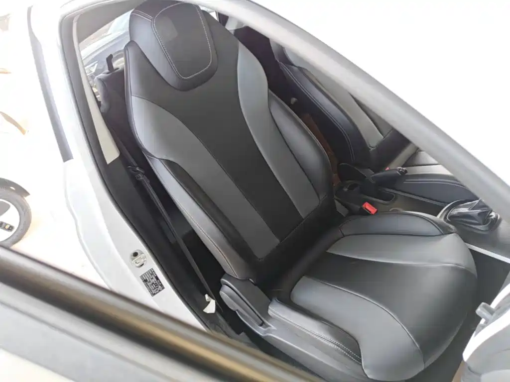 Roewe Kaiwei CLEVER 2023 2022 311km Vitality Bobo Edition