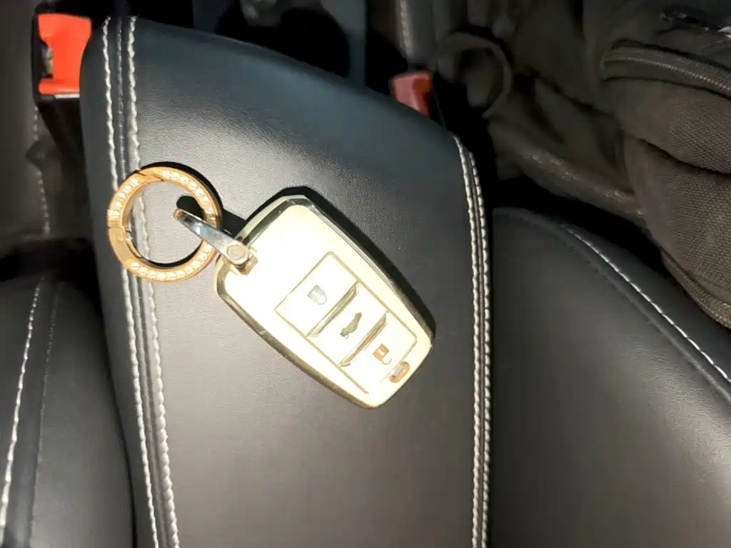 Changan New Energy E-Pro 2021 2020 Ultimate Power Edition