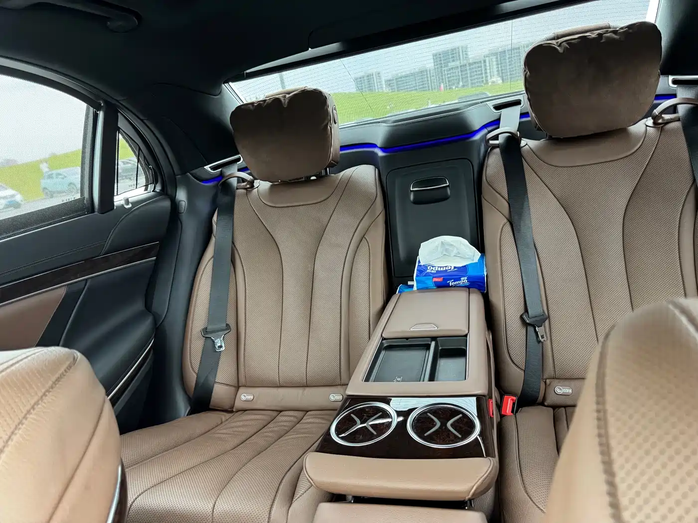 Mercedes-Benz S-Class 2020 S 350 L Premium Edition Collector's Version фото 16