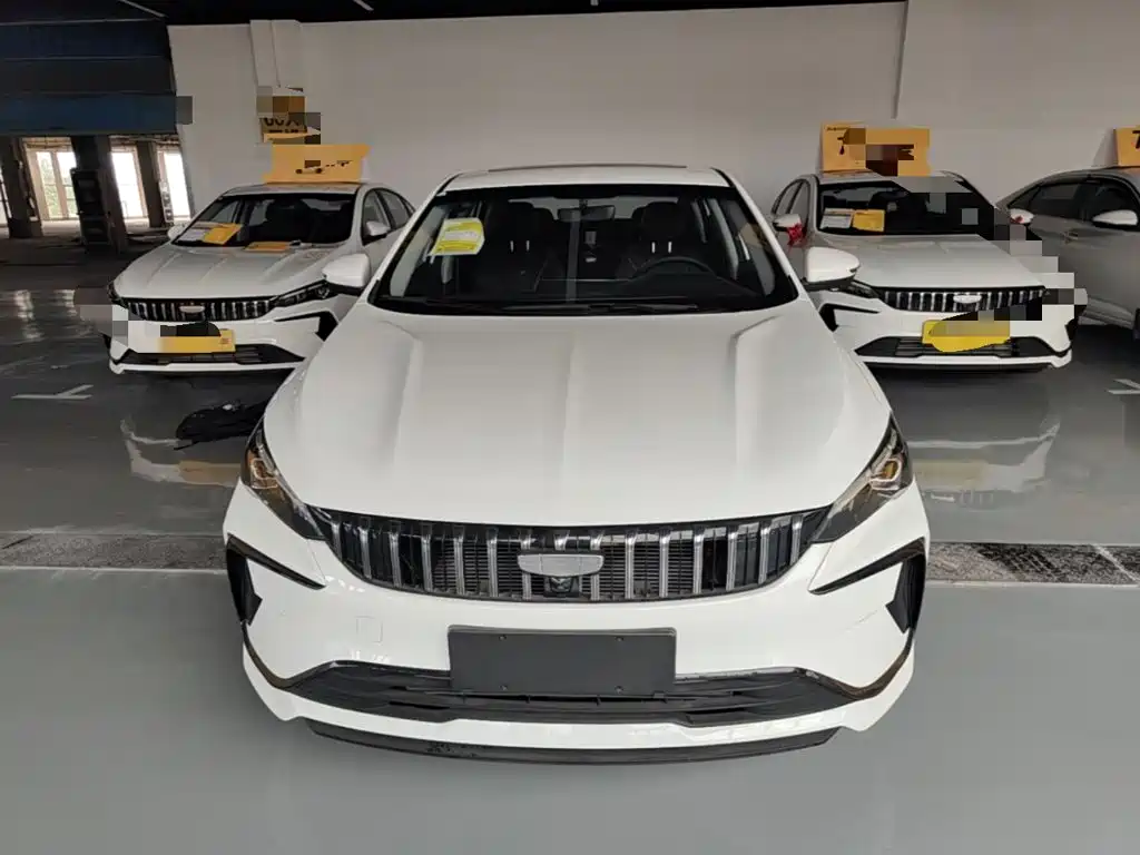 Фото 3 - Geely Binrui