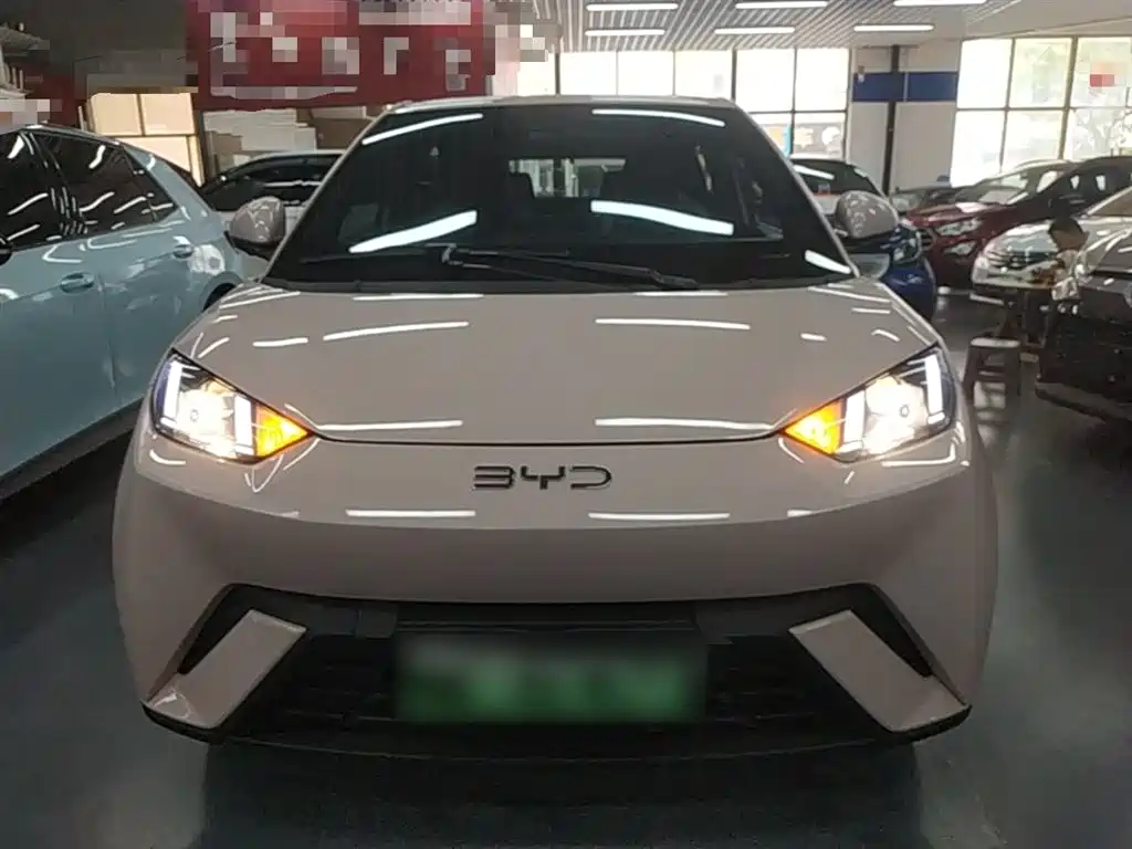 BYD Seagull 2025 305km Vitality фото 3