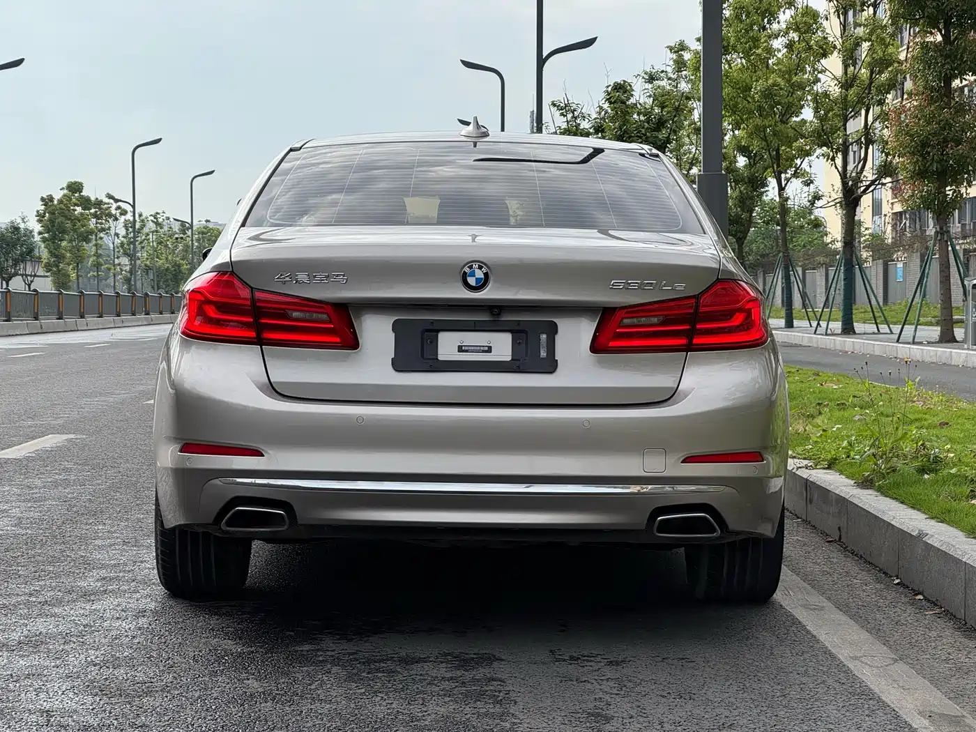 BMW 5 Series New Energy 2020 530Le Range Upgrade Luxury Package фото 13