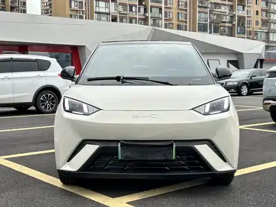 BYD Seagull