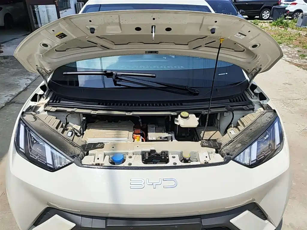 BYD Seagull 2024 Glory Edition 305km Vitality Edition фото 20