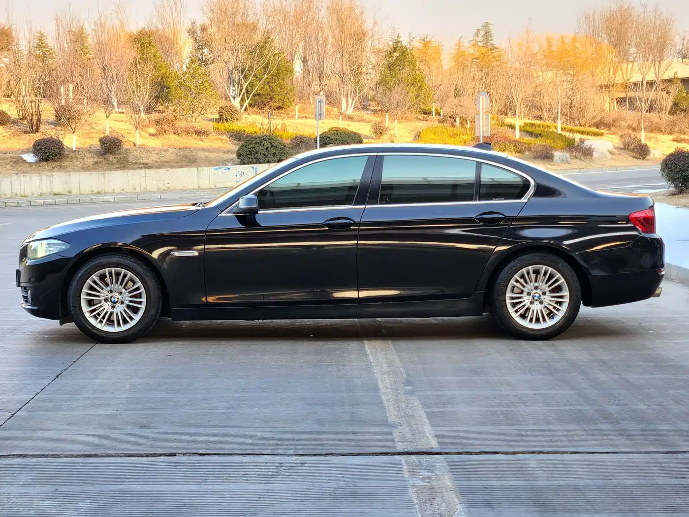 BMW 5 Series 2014 525Li Leading фото 3