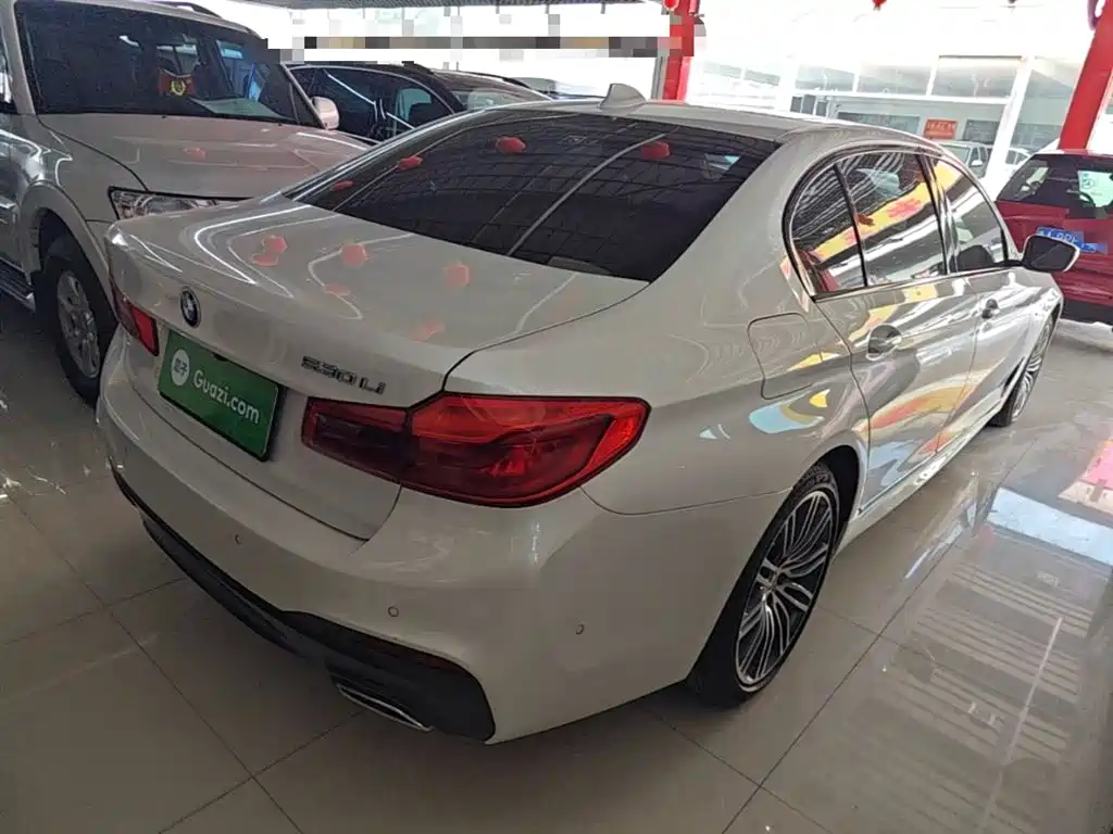 BMW 5 Series 2019 530Li Leading M Sport Package фото 7