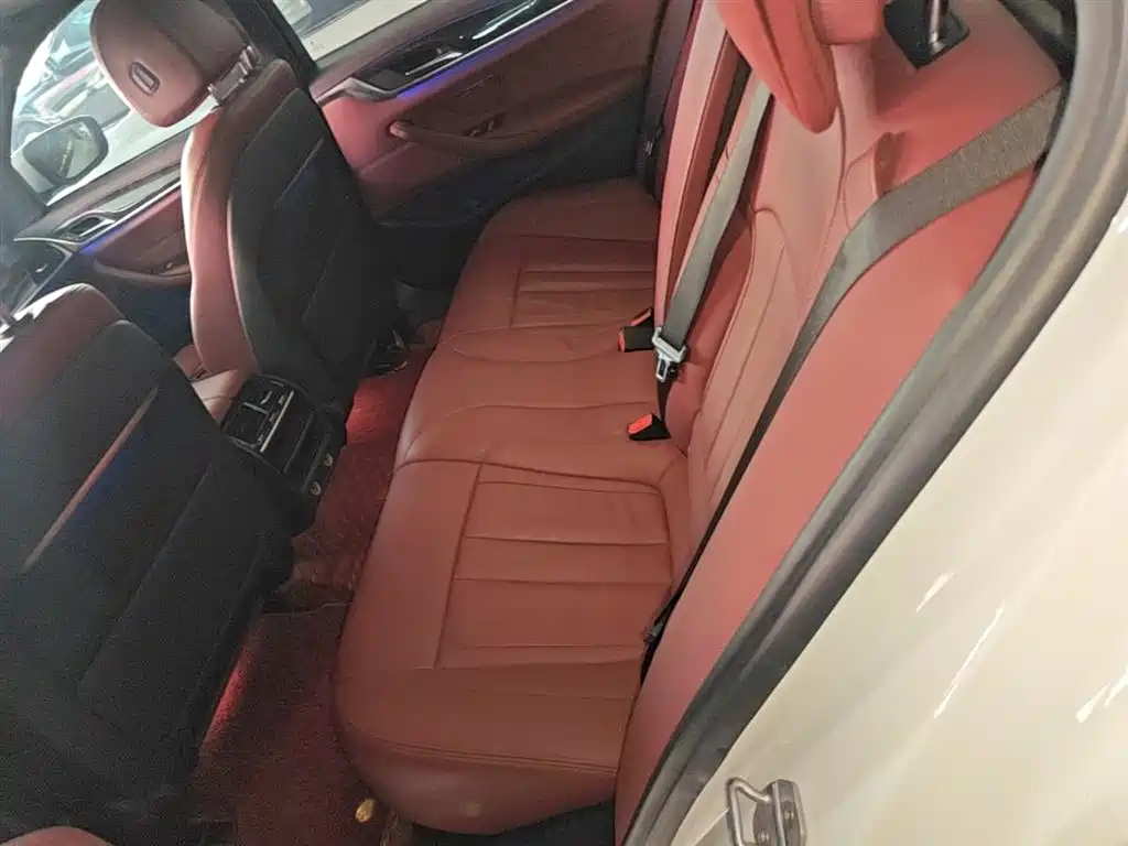 BMW 5 Series 2019 530Li Leading M Sport Package фото 17
