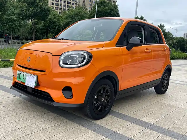 Leapmotor T03 2023 310 Sharing Edition