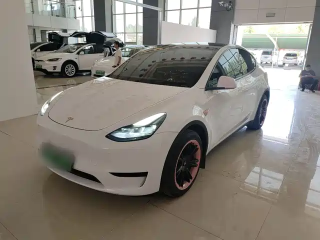Tesla Model Y 2022 Facelift Rear-Wheel Drive Version