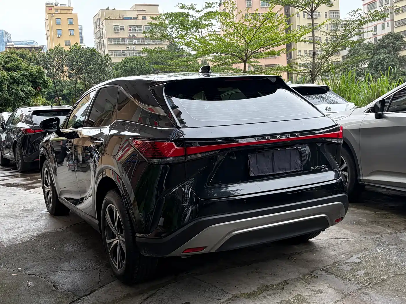 Lexus RX 2025 300 4WD Premium Edition фото 8