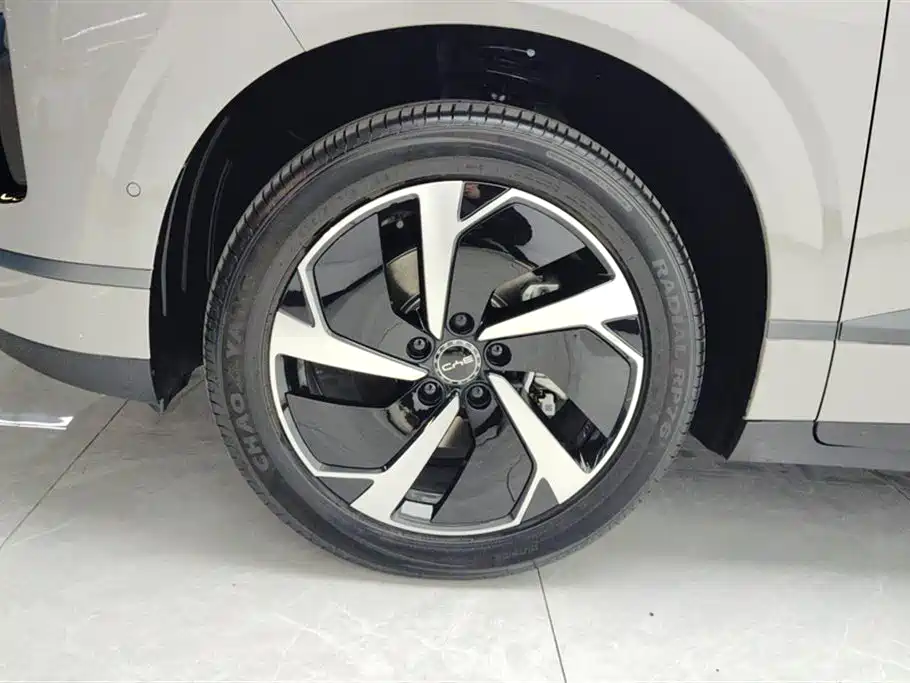 BYD SEA LION 06 NEW ENERGY