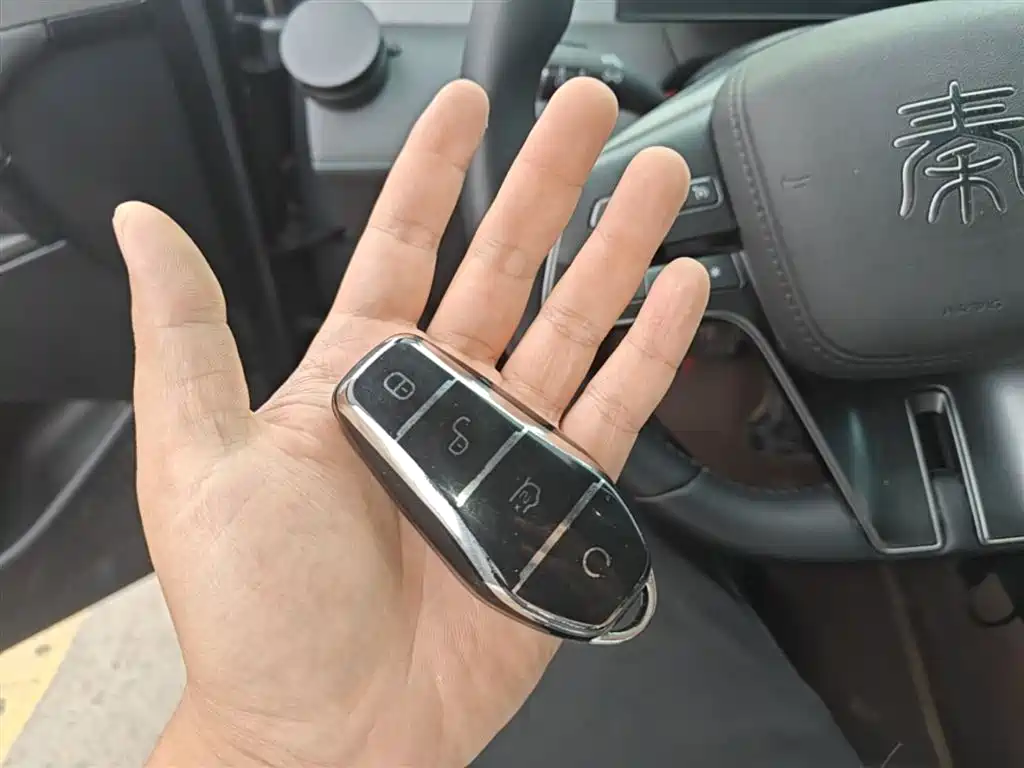 BYD Qin PLUS 2025 DM-i Smart Drive 55KM Leader фото 9